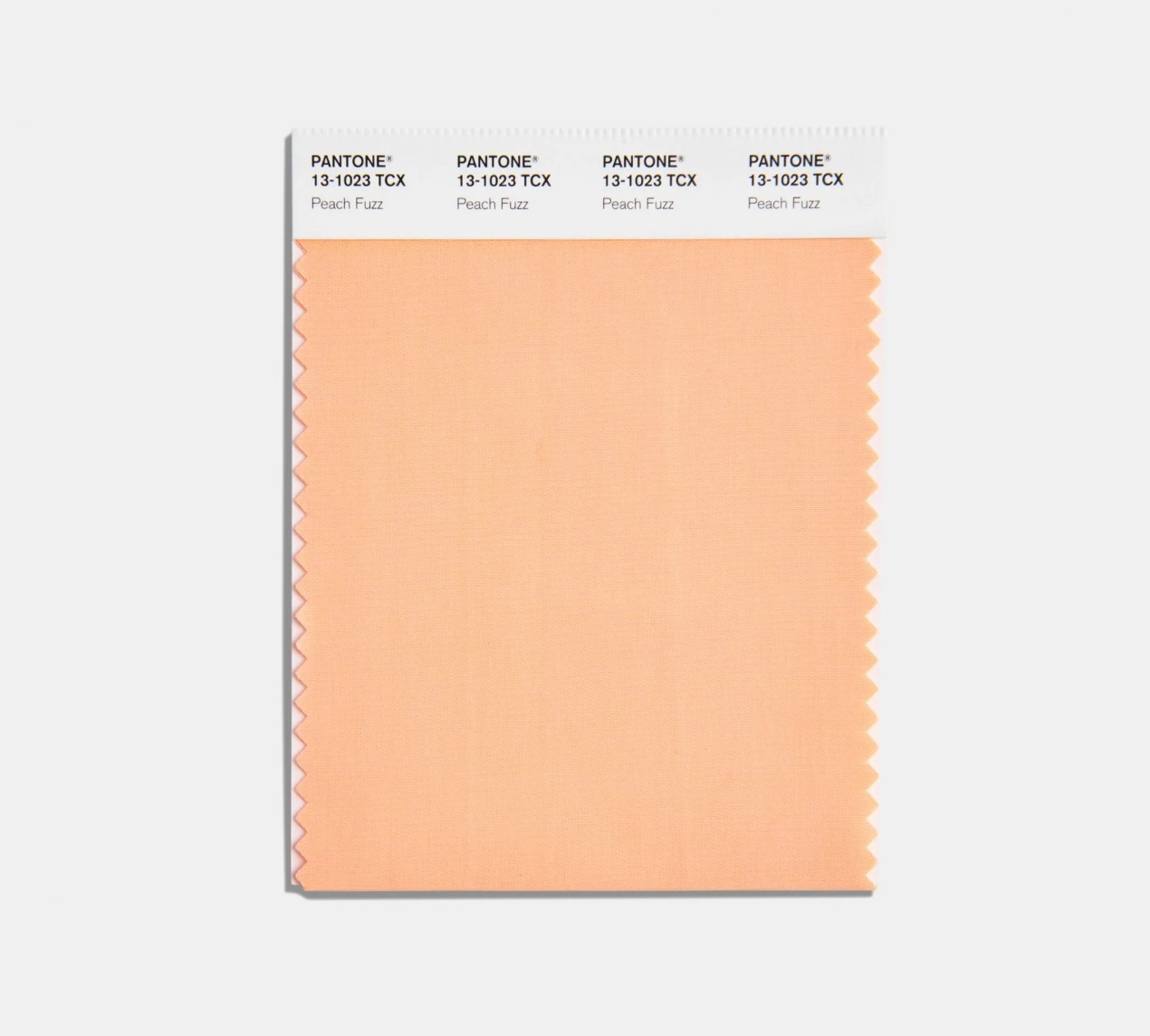 Pantone vyhlásila barvu roku 2024. Je jí odstín Peach Fuzz Marketing